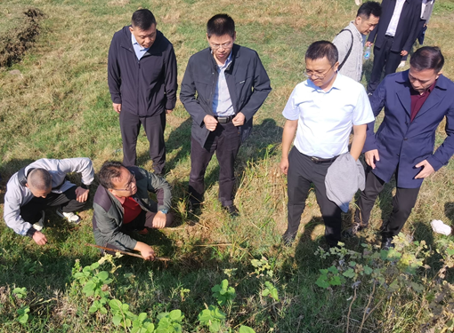 1730186515109337.png 1730186515109337.png