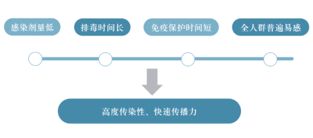 诺如1.png
