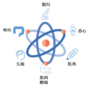诺如2.png