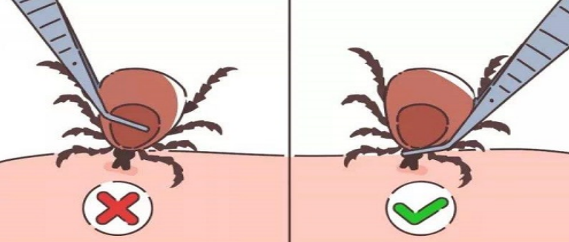 6.004.png