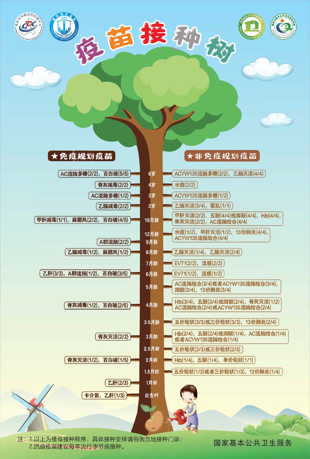 1758005489691305.jpg