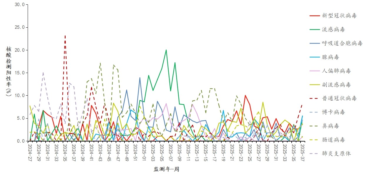 1758602089113147.jpg 1758602089113147.jpg