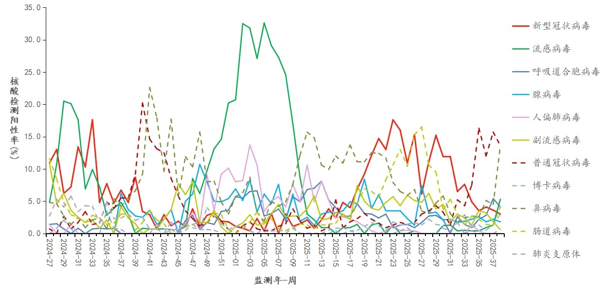 1760002518107545.jpg 1760002518107545.jpg