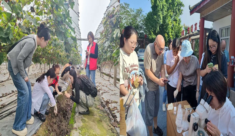 1760081410102432.png 1760081410102432.png