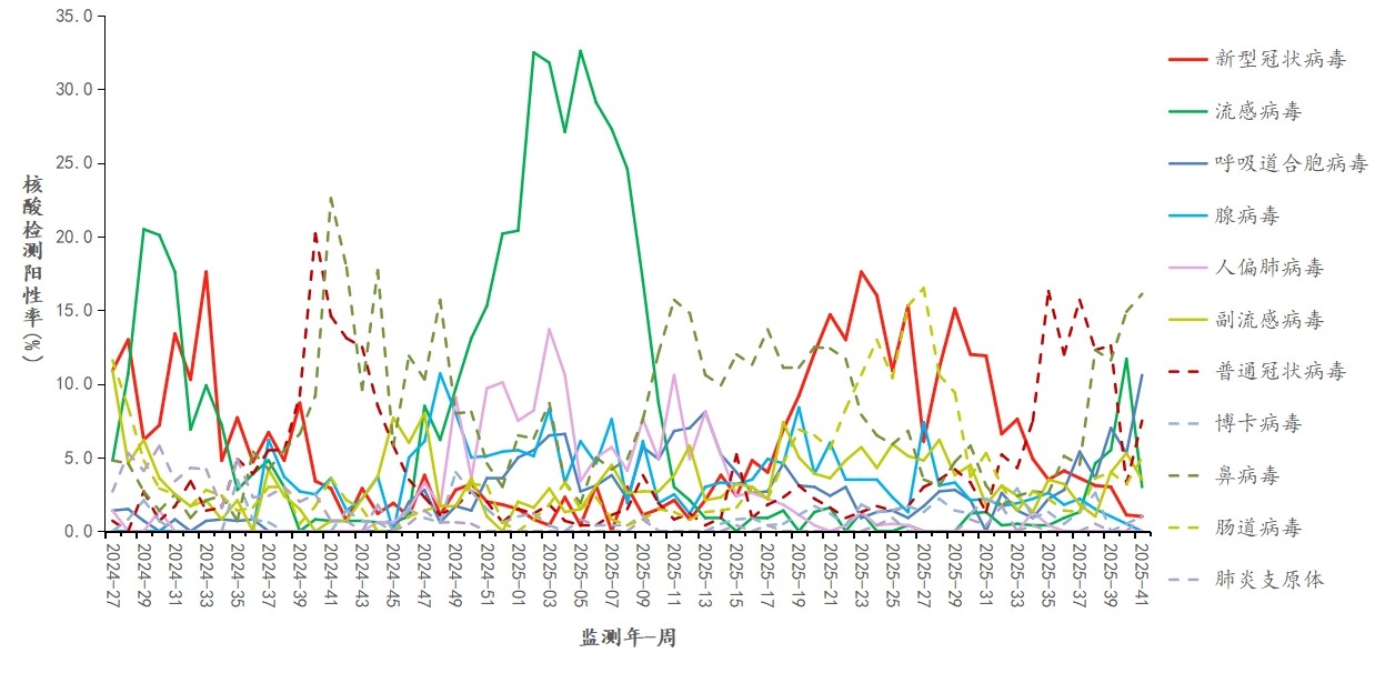 1761024616243000.jpg 13.jpg