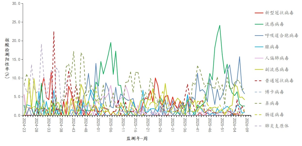 1772184916108440.jpg 1772184916108440.jpg